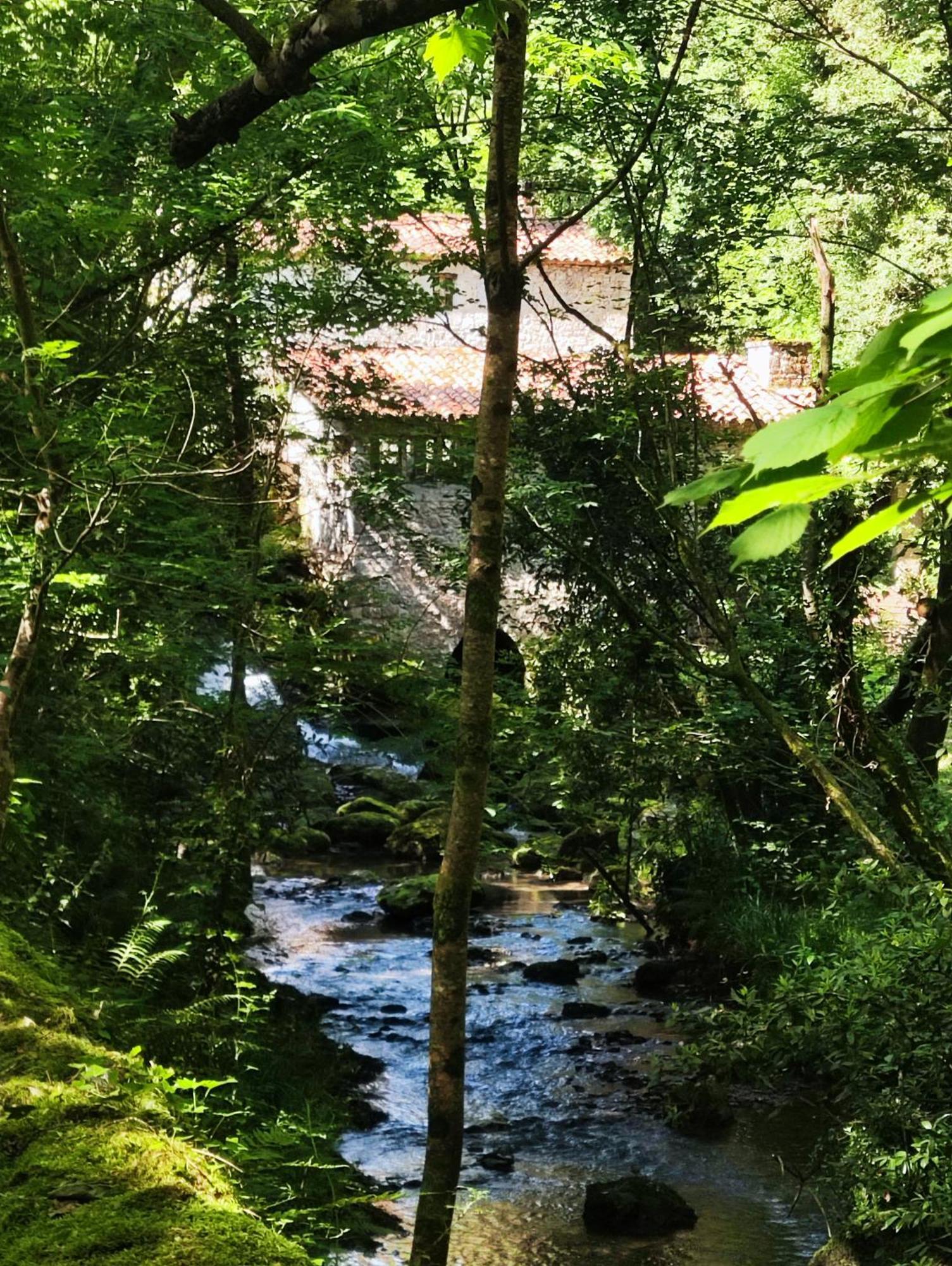 La Cavada 雷曼苏德特瑞维科旅馆酒店 外观 照片